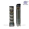 vertical multistage submersible clean water well pump malaysia