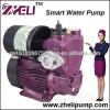 Mini Irrigation Electric Hot and Cold Water Self Priming Pump