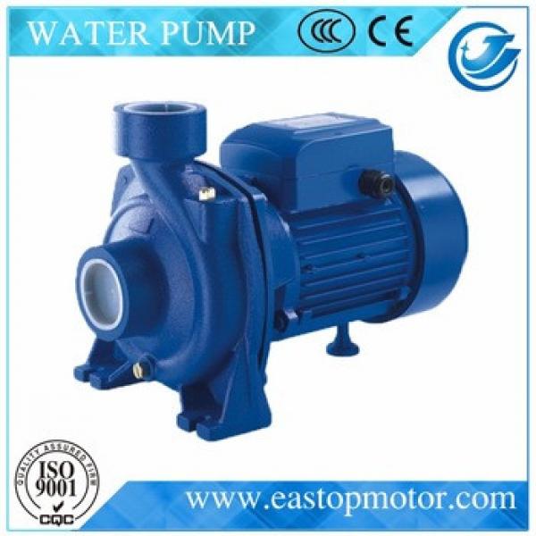 HGAM garden water pump for domestic applications with CastIron Support #1 image