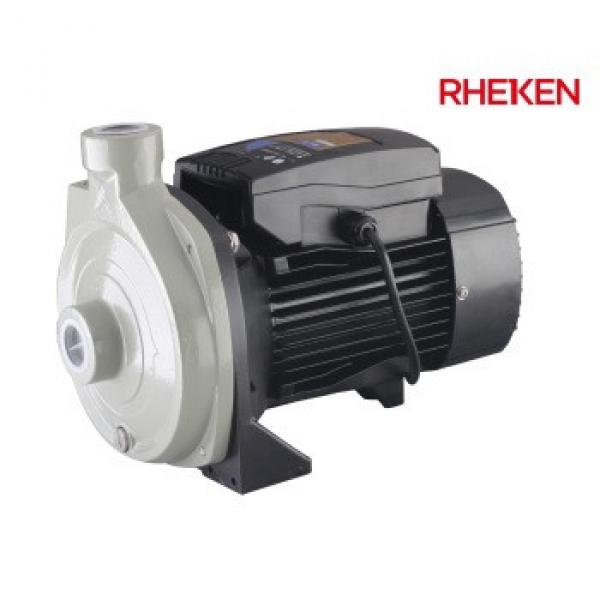 Taizhou 220v Energy-saving House Clean Water Use Stainless Steel Impeller High Pressure Centrifugal Pump #1 image