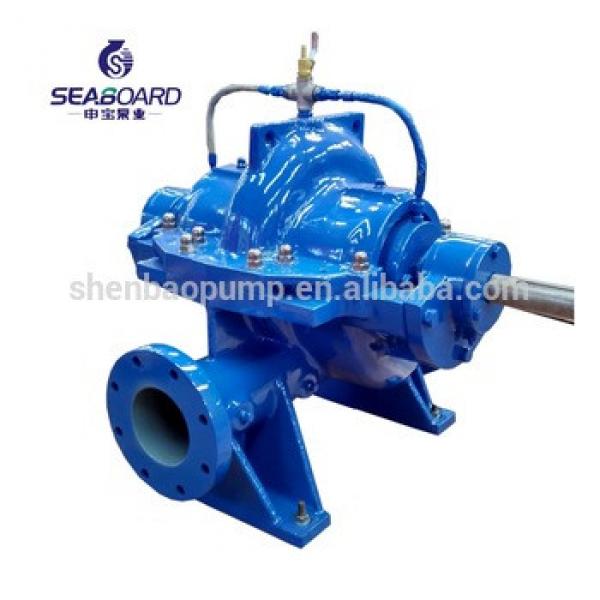 SBS125-290 high pressure double suction pump 2900rpm #1 image