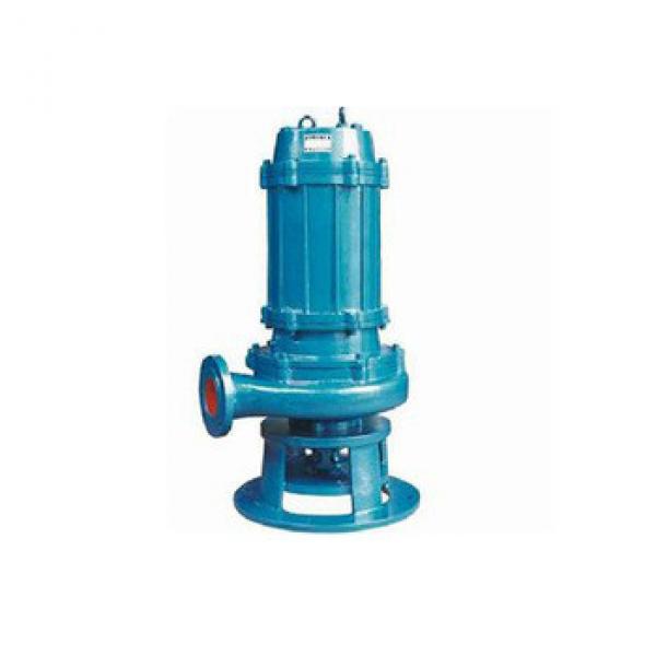 high quality submersible sewage pump #1 image