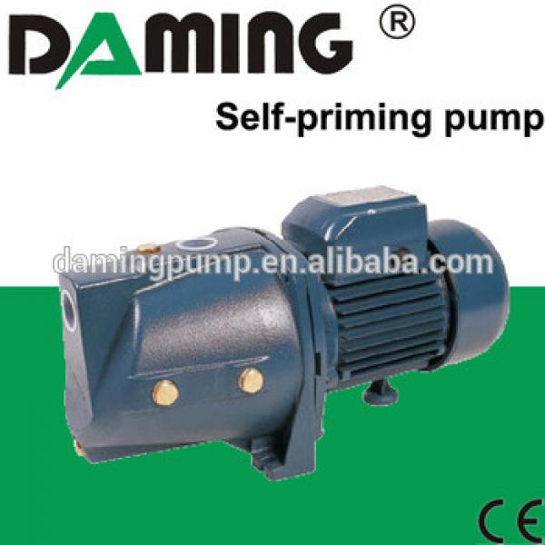 Garden Self Priming Jet Water Pump(JET100) #1 image