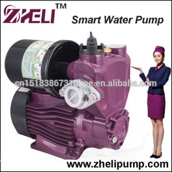 Mini Irrigation Electric Hot and Cold Water Self Priming Pump #1 image