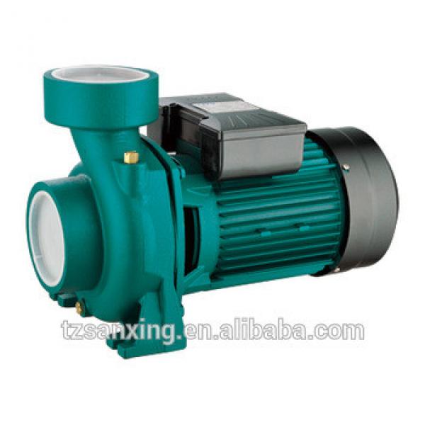 SHF75 110V/220V Electric Centrifugal Pump 1.5Hp clean Water Pump #1 image