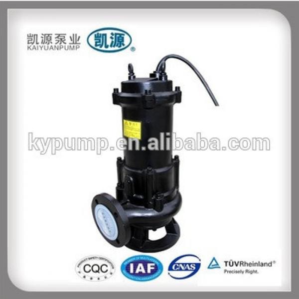 WQ Water Usage and Electric Power Submersible Waste Water Pump #1 image