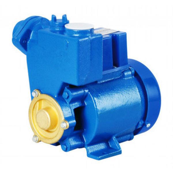 Electric Small Household Single Phase Irrigation Use Self-priming Booster Garden Water Pump #1 image